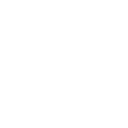 Reputation & Review SEO